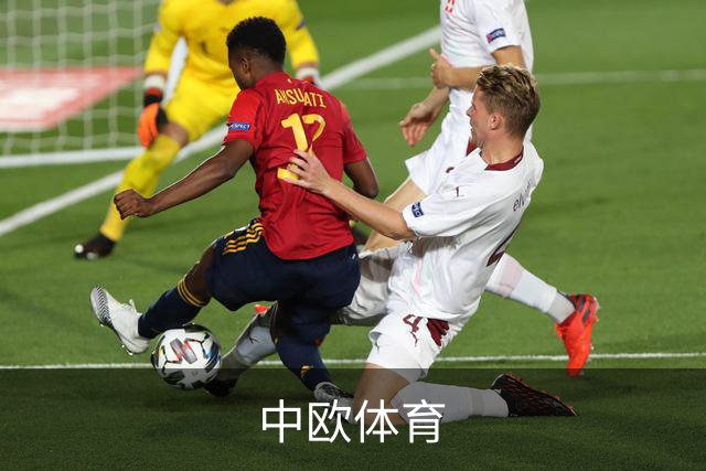 中欧体育公司介绍图片